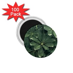 Leaves Closeup Background Photo1 1 75  Magnets (100 Pack)  by dflcprintsclothing