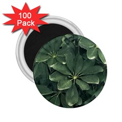 Leaves Closeup Background Photo1 2 25  Magnets (100 Pack)  by dflcprintsclothing