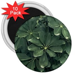 Leaves Closeup Background Photo1 3  Magnets (10 Pack)  by dflcprintsclothing