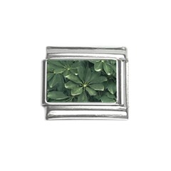 Leaves Closeup Background Photo1 Italian Charm (9mm) by dflcprintsclothing