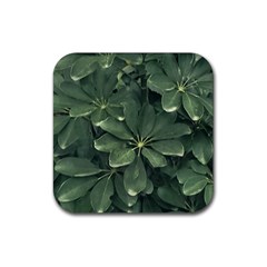 Leaves Closeup Background Photo1 Rubber Coaster (square) by dflcprintsclothing