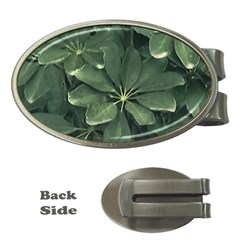 Leaves Closeup Background Photo1 Money Clips (oval)  by dflcprintsclothing