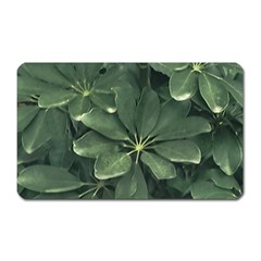 Leaves Closeup Background Photo1 Magnet (rectangular) by dflcprintsclothing