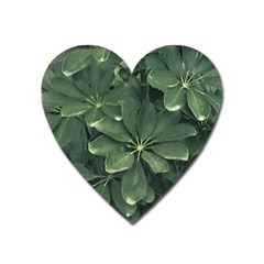 Leaves Closeup Background Photo1 Heart Magnet by dflcprintsclothing