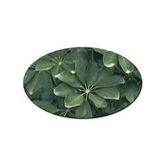 Leaves Closeup Background Photo1 Sticker Oval (10 Pack) by dflcprintsclothing