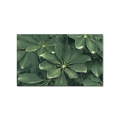 Leaves Closeup Background Photo1 Sticker Rectangular (100 Pack) by dflcprintsclothing