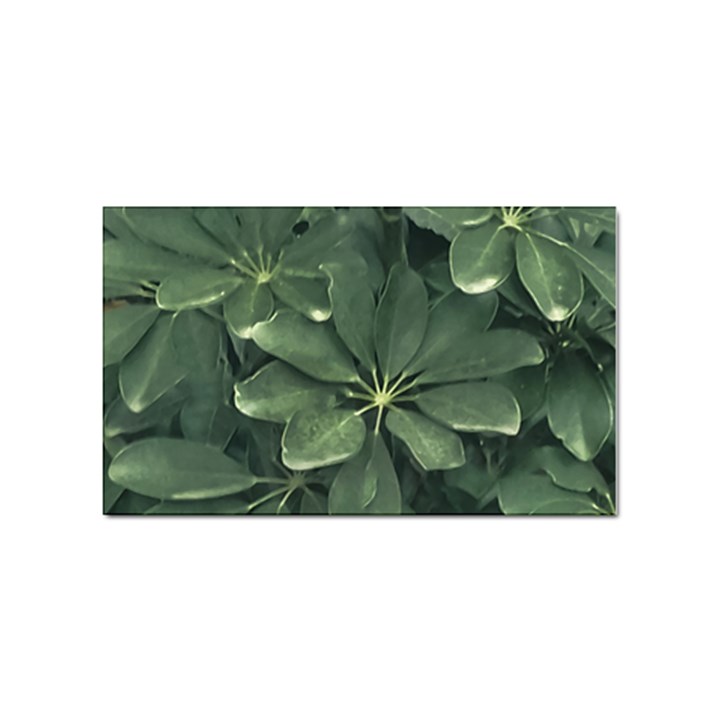 Leaves Closeup Background Photo1 Sticker Rectangular (100 pack)