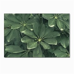 Leaves Closeup Background Photo1 Postcards 5  X 7  (pkg Of 10) by dflcprintsclothing