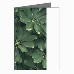 Leaves Closeup Background Photo1 Greeting Cards (pkg Of 8) by dflcprintsclothing