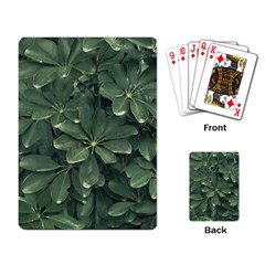 Leaves Closeup Background Photo1 Playing Cards Single Design (rectangle)