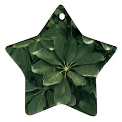 Leaves Closeup Background Photo1 Star Ornament (two Sides) by dflcprintsclothing