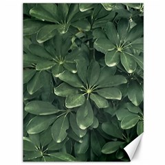 Leaves Closeup Background Photo1 Canvas 36  X 48  by dflcprintsclothing