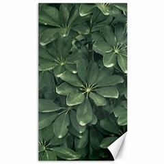 Leaves Closeup Background Photo1 Canvas 40  X 72  by dflcprintsclothing