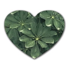 Leaves Closeup Background Photo1 Heart Mousepad by dflcprintsclothing