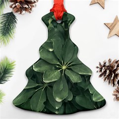 Leaves Closeup Background Photo1 Ornament (christmas Tree)  by dflcprintsclothing