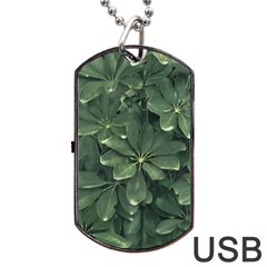 Leaves Closeup Background Photo1 Dog Tag Usb Flash (two Sides) by dflcprintsclothing