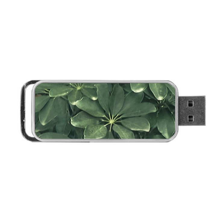 Leaves Closeup Background Photo1 Portable USB Flash (One Side)