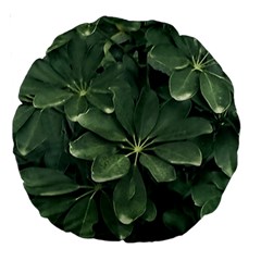 Leaves Closeup Background Photo1 Large 18  Premium Round Cushions by dflcprintsclothing