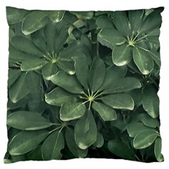 Leaves Closeup Background Photo1 Standard Premium Plush Fleece Cushion Case (two Sides) by dflcprintsclothing