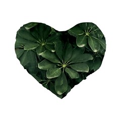 Leaves Closeup Background Photo1 Standard 16  Premium Flano Heart Shape Cushions by dflcprintsclothing