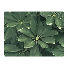 Leaves Closeup Background Photo1 Premium Plush Fleece Blanket (mini) by dflcprintsclothing