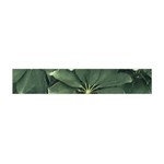 Leaves Closeup Background Photo1 Premium Plush Fleece Scarf (Mini) Front