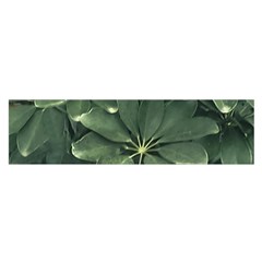 Leaves Closeup Background Photo1 Oblong Satin Scarf (16  X 60 ) by dflcprintsclothing