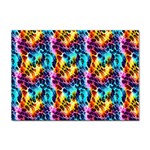 Rainbow Leopard 2 Sticker A4 (10 pack) Front