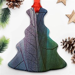 Abstract Pattern  Ornament (christmas Tree)  by artworkshop