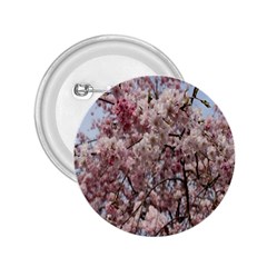 Almond Tree Flower 2 25  Buttons