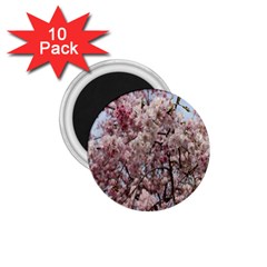 Almond Tree Flower 1 75  Magnets (10 Pack)  by artworkshop