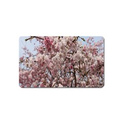 Almond Tree Flower Magnet (name Card) by artworkshop