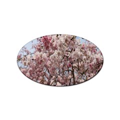 Almond Tree Flower Sticker Oval (100 Pack) by artworkshop