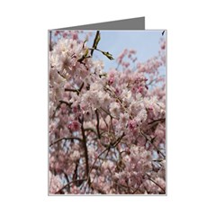 Almond Tree Flower Mini Greeting Card by artworkshop