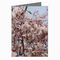 Almond Tree Flower Greeting Cards (pkg Of 8) by artworkshop