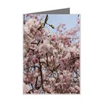 Almond Tree Flower Mini Greeting Card Left