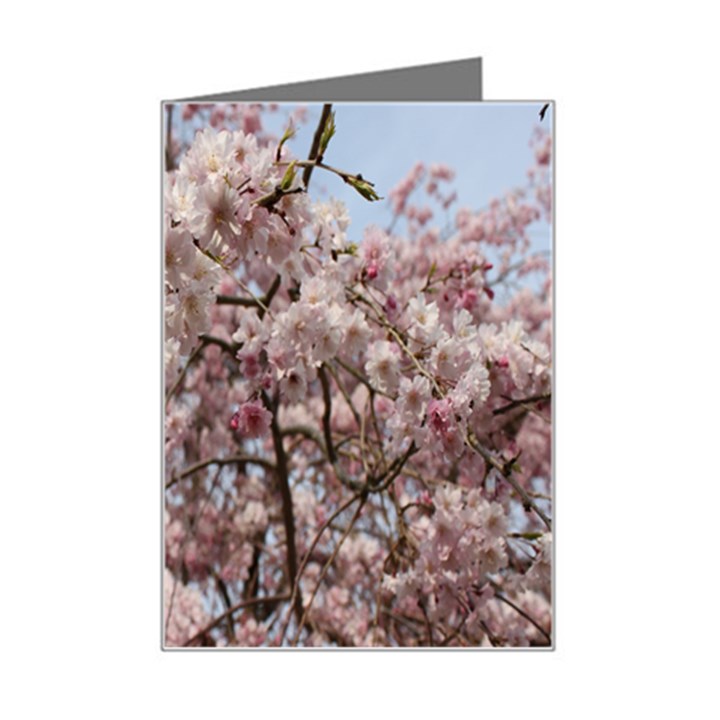 Almond Tree Flower Mini Greeting Card