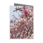 Almond Tree Flower Mini Greeting Card Right