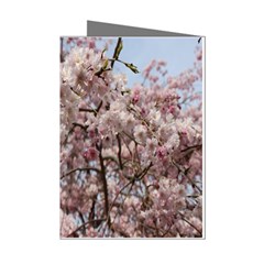 Almond Tree Flower Mini Greeting Cards (pkg Of 8)