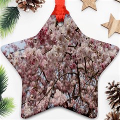 Almond Tree Flower Star Ornament (two Sides) by artworkshop