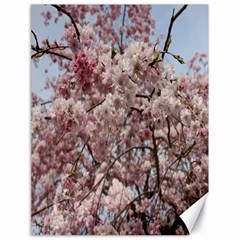 Almond Tree Flower Canvas 18  X 24  by artworkshop