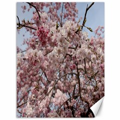 Almond Tree Flower Canvas 36  X 48  by artworkshop