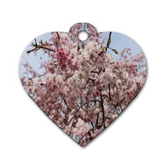 Almond Tree Flower Dog Tag Heart (two Sides) by artworkshop