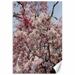 Almond Tree Flower Canvas 12  X 18  by artworkshop