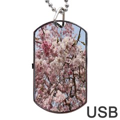 Almond Tree Flower Dog Tag Usb Flash (one Side) by artworkshop