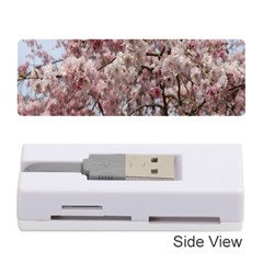 Almond Tree Flower Memory Card Reader (stick) by artworkshop