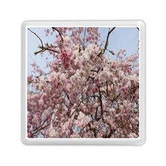 Almond Tree Flower Memory Card Reader (square) by artworkshop