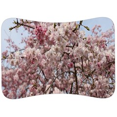 Almond Tree Flower Velour Seat Head Rest Cushion by artworkshop