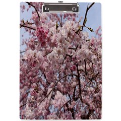 Almond Tree Flower A4 Acrylic Clipboard by artworkshop