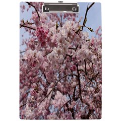 Almond Tree Flower A4 Acrylic Clipboard by artworkshop